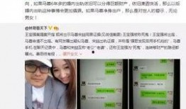 马蓉闺蜜爆料聊天记录视频,揭秘事件背后惊人内幕